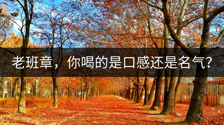 老班章，你喝的是口感還是名氣？