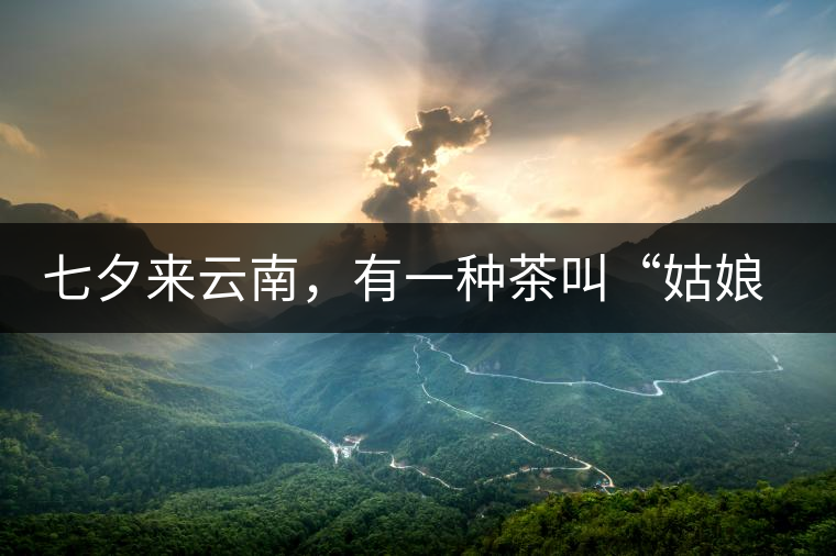 七夕來云南，有一種茶叫“姑娘茶”，也許你就能遇上