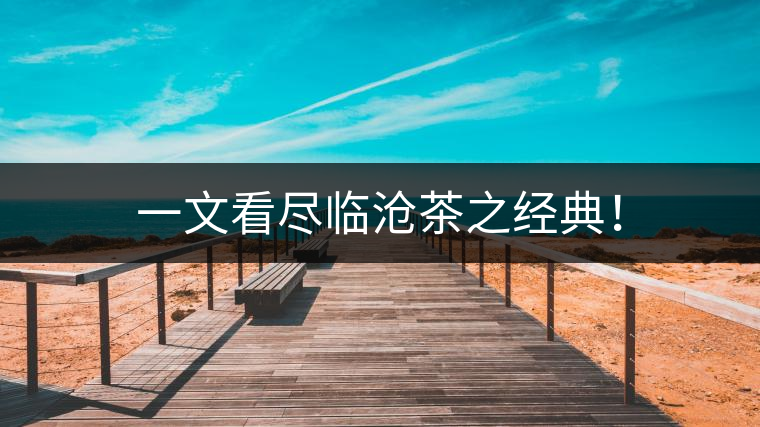 一文看盡臨滄茶之經(jīng)典！