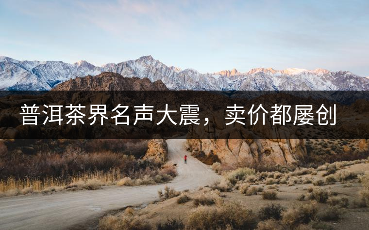 普洱茶界名聲大震，賣價都屢創(chuàng)新高竟然是它