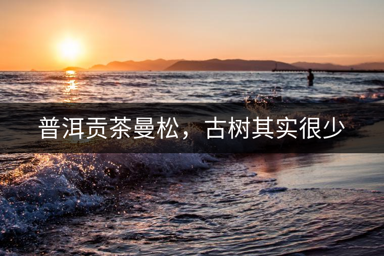 普洱貢茶曼松，古樹其實很少