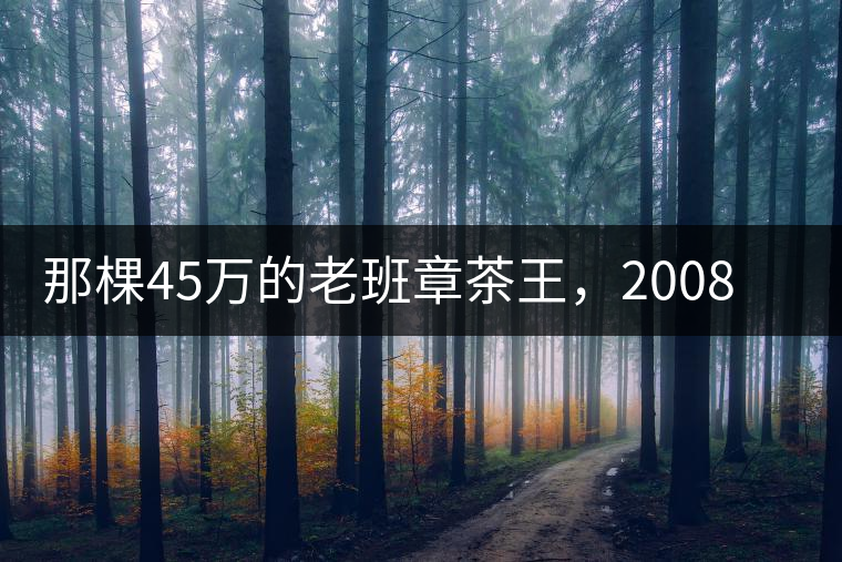 那棵45萬的老班章茶王，2008年是什么樣子的？