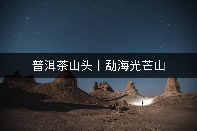 普洱茶山頭丨勐海光芒山