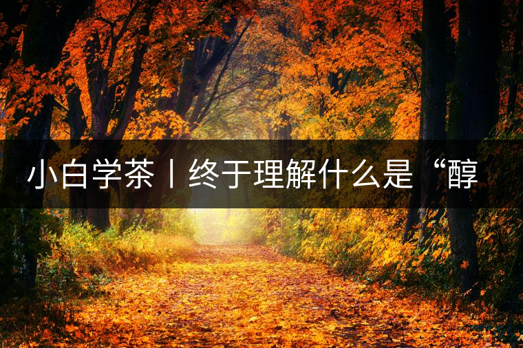 小白學茶丨終于理解什么是“醇厚、耐泡，回甘”了