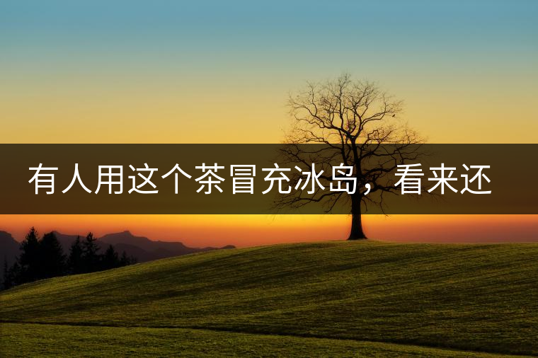 有人用這個茶冒充冰島，看來還是有幾分道理