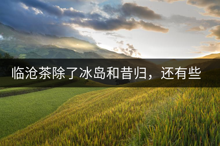 臨滄茶除了冰島和昔歸，還有些什么？