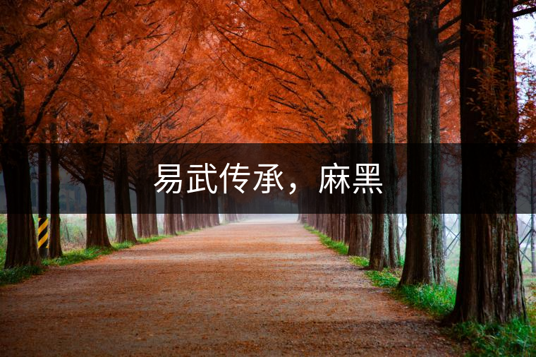 易武傳承，麻黑