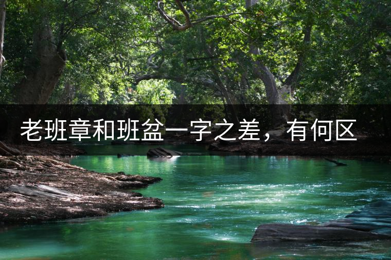 老班章和班盆一字之差，有何區(qū)別