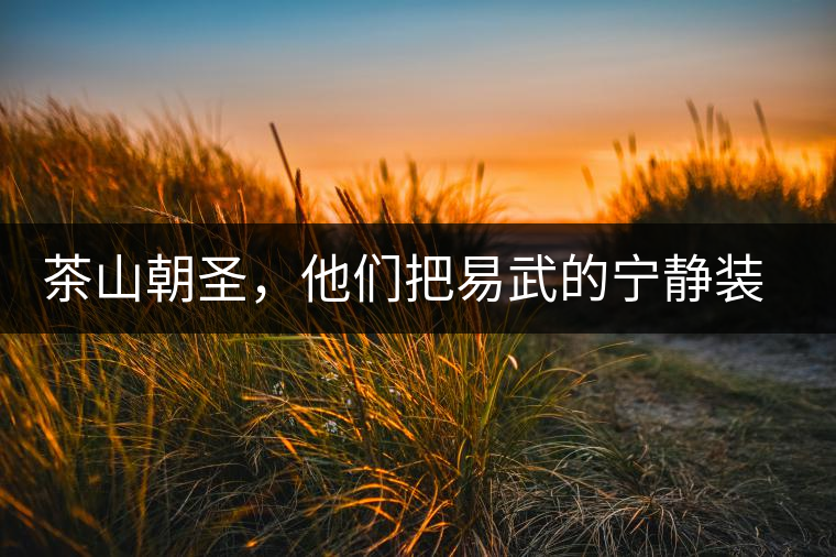 茶山朝圣，他們把易武的寧靜裝進心里，卻把成堆垃圾留在