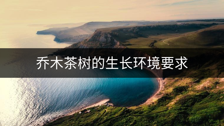 喬木茶樹(shù)的生長(zhǎng)環(huán)境要求