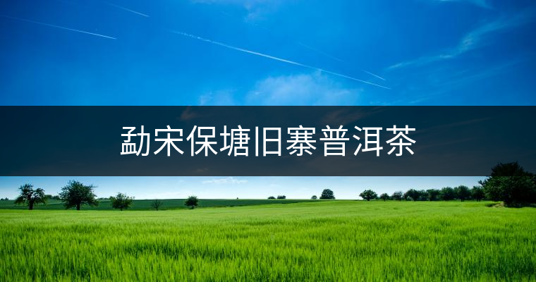 勐宋保塘舊寨普洱茶