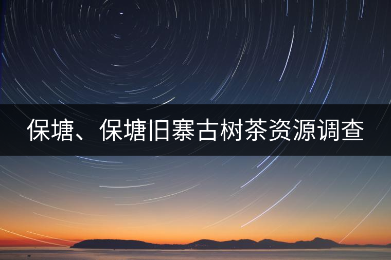 保塘、保塘舊寨古樹茶資源調(diào)查