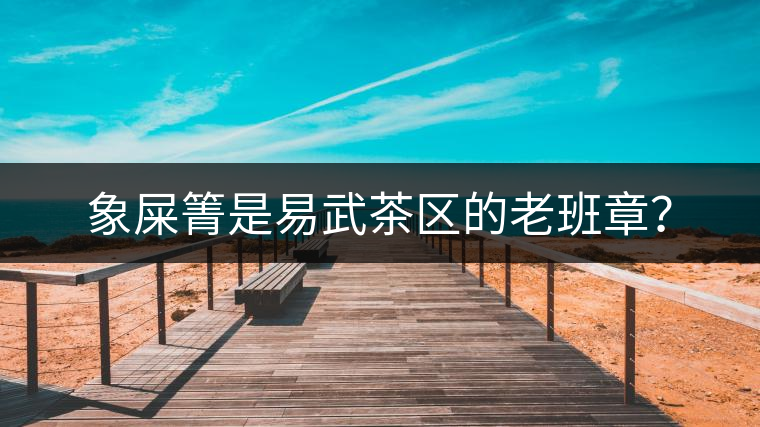 象屎箐是易武茶區(qū)的老班章？