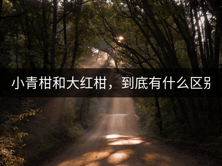 小青柑和大紅柑，到底有什么區(qū)別？