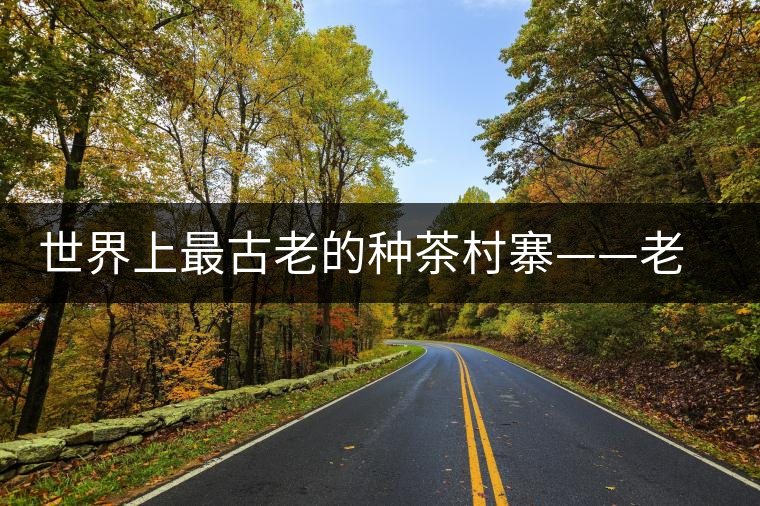 世界上最古老的種茶村寨——老曼峨 世界上最古老的種茶村寨——老曼峨