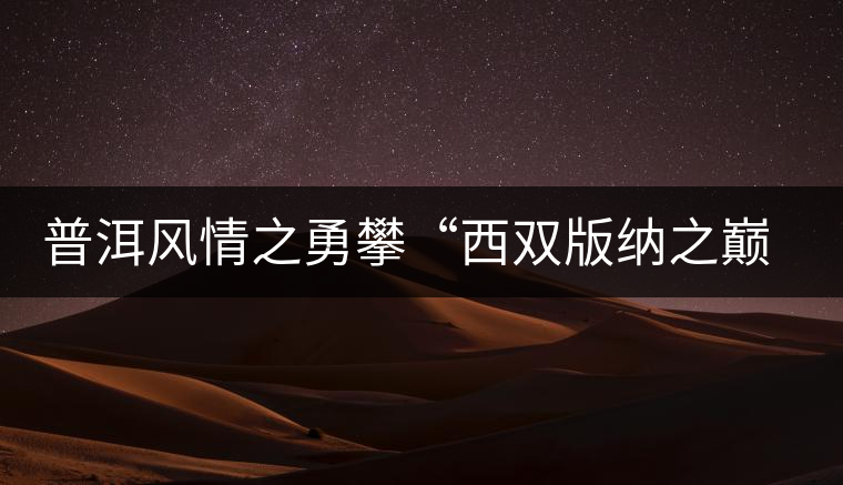 普洱風情之勇攀“西雙版納之巔”——勐宋古茶山