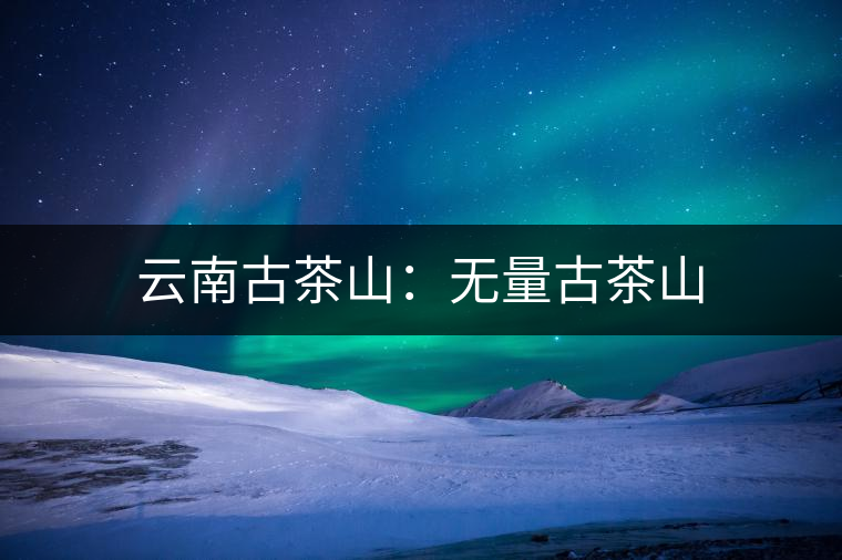 云南古茶山：無(wú)量古茶山