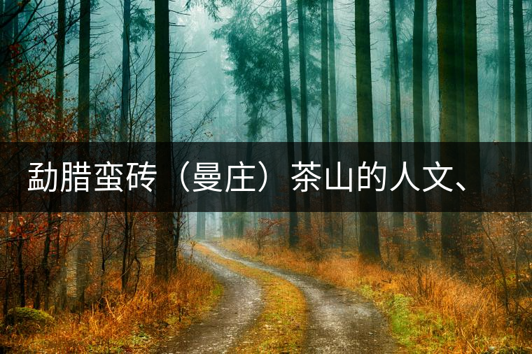 勐臘蠻磚（曼莊）茶山的人文、生態(tài)