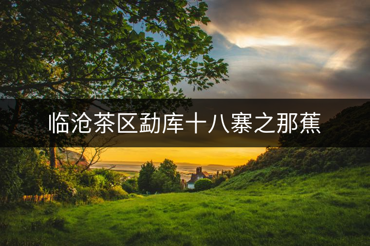 臨滄茶區(qū)勐庫(kù)十八寨之那蕉 臨滄茶區(qū)勐庫(kù)十八寨之那蕉