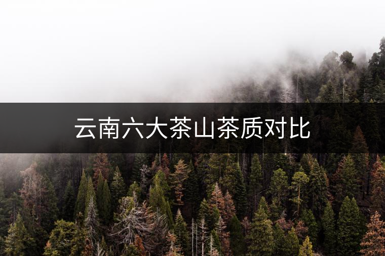 云南六大茶山茶質(zhì)對(duì)比