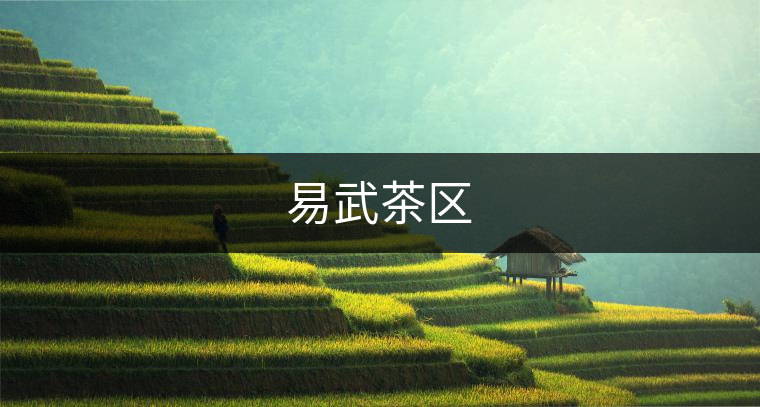 易武茶區(qū)