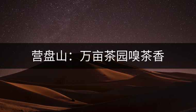 營(yíng)盤(pán)山：萬(wàn)畝茶園嗅茶香