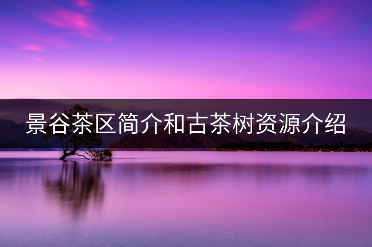 景谷茶區(qū)簡(jiǎn)介和古茶樹(shù)資源介紹 景谷茶區(qū)簡(jiǎn)介和古茶樹(shù)資源介紹