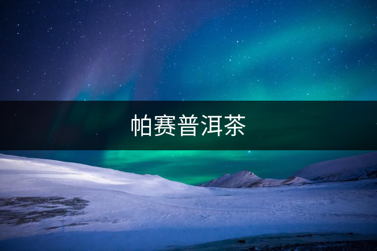 帕賽普洱茶 帕賽普洱茶