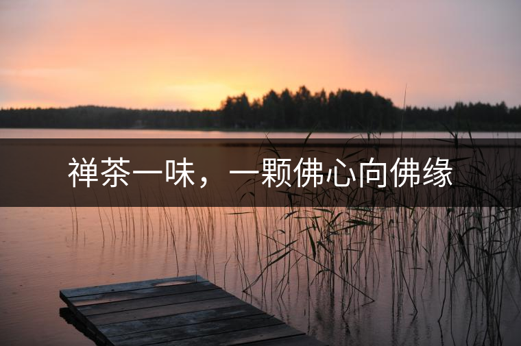 禪茶一味，一顆佛心向佛緣
