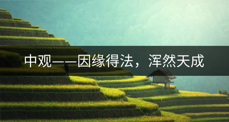 中觀——因緣得法，渾然天成