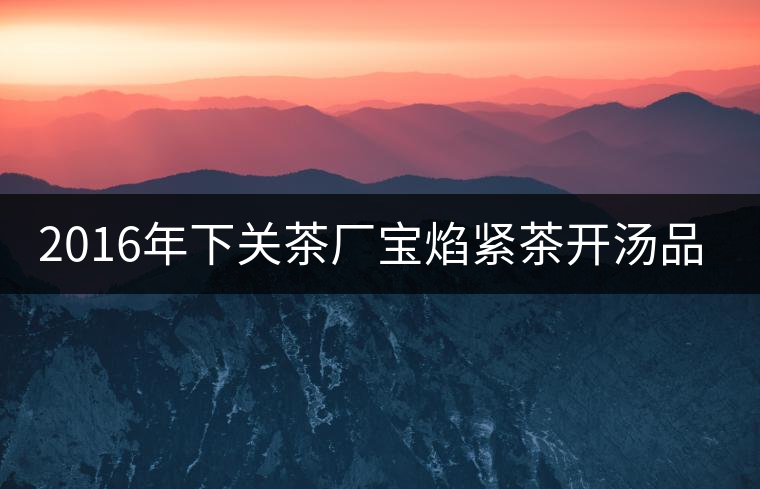 2016年下關(guān)茶廠寶焰緊茶開湯品鑒 2016年下關(guān)茶廠寶焰緊茶開湯品鑒