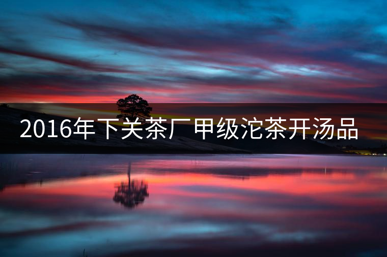 2016年下關(guān)茶廠甲級(jí)沱茶開(kāi)湯品鑒