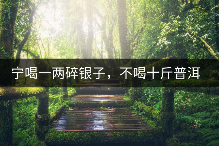 寧喝一兩碎銀子，不喝十斤普洱茶