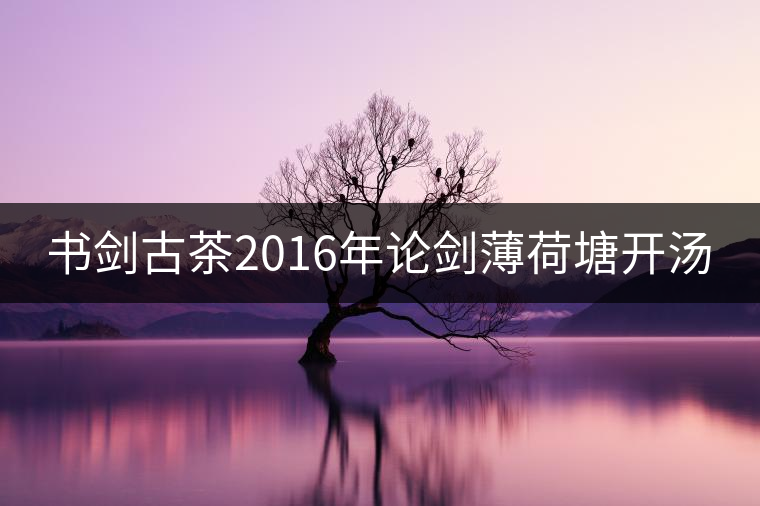 書劍古茶2016年論劍薄荷塘開湯 書劍古茶2016年論劍薄荷塘開湯