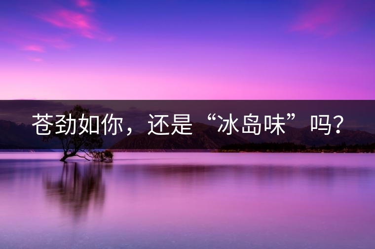 蒼勁如你，還是“冰島味”嗎？