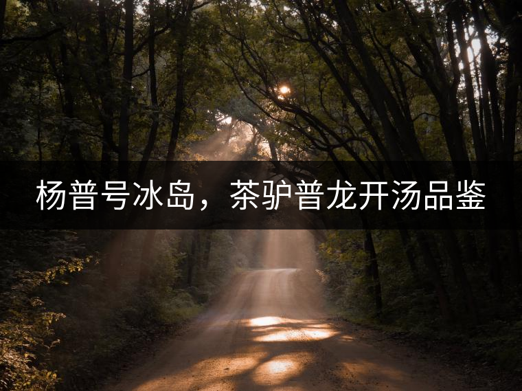 楊普號冰島，茶驢普龍開湯品鑒