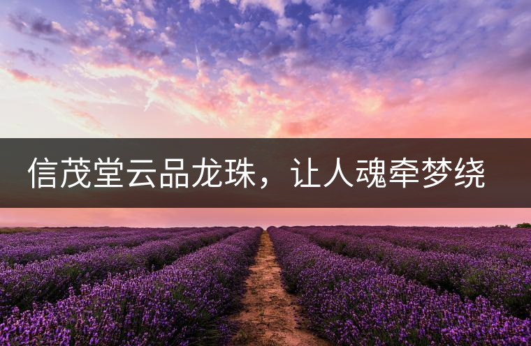 信茂堂云品龍珠，讓人魂?duì)繅?mèng)繞的尤物