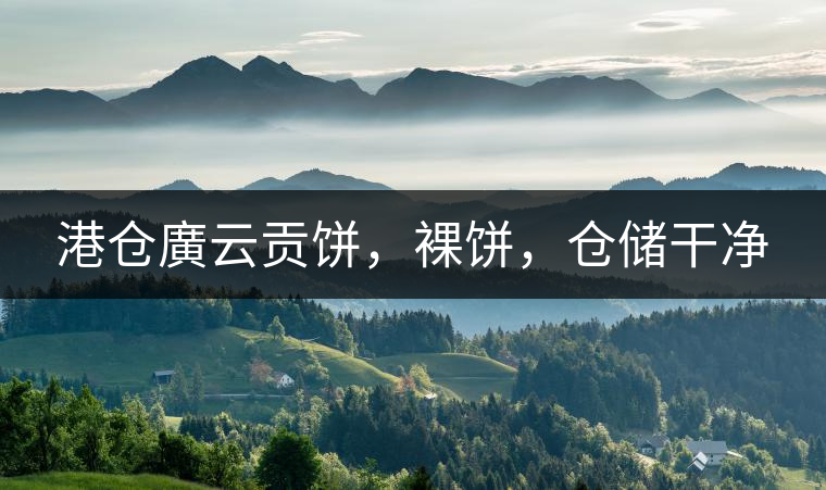 港倉(cāng)廣云貢餅，裸餅，倉(cāng)儲(chǔ)干凈