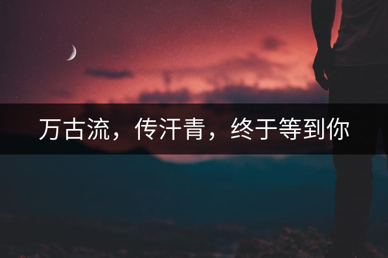 萬(wàn)古流，傳汗青，終于等到你