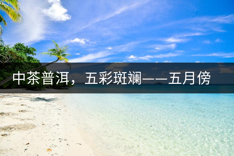 中茶普洱，五彩斑斕——五月傍晚，一道茶