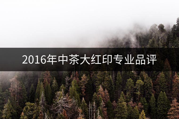 2016年中茶大紅印專業(yè)品評(píng)