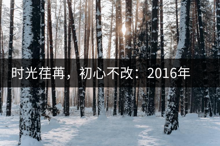 時光荏苒，初心不改：2016年老同志為天下人做好茶開湯