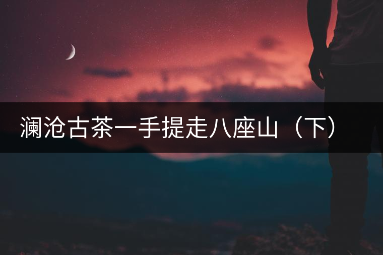 瀾滄古茶一手提走八座山（下）開湯品鑒