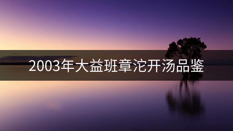 2003年大益班章沱開湯品鑒 2003年大益班章沱開湯品鑒