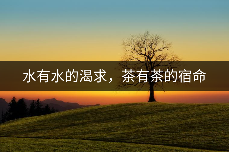 水有水的渴求，茶有茶的宿命