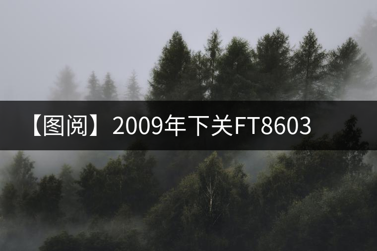 【圖閱】2009年下關(guān)FT8603鐵餅開(kāi)湯 【圖閱】2009年下關(guān)FT8603鐵餅開(kāi)湯