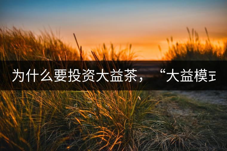 為什么要投資大益茶，“大益模式”告訴你！