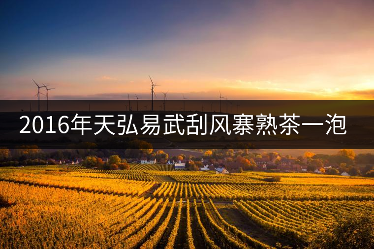 2016年天弘易武刮風(fēng)寨熟茶一泡耐人尋味！