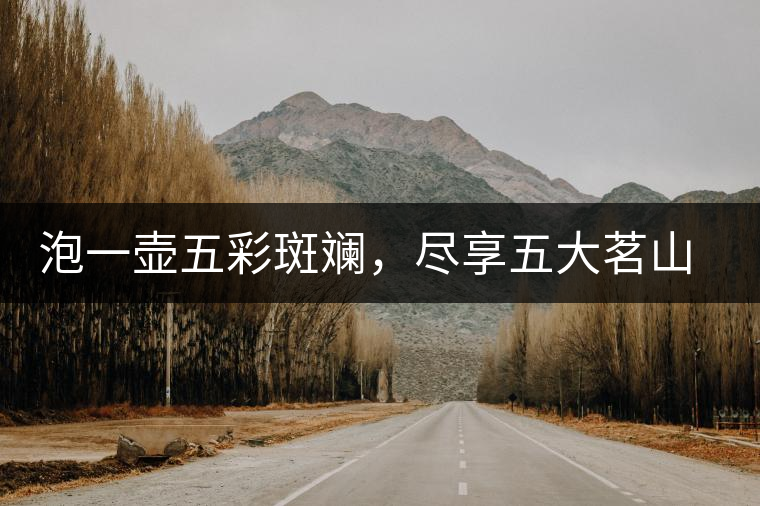 泡一壺五彩斑斕，盡享五大茗山之味