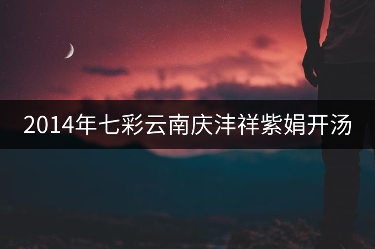 2014年七彩云南慶灃祥紫娟開(kāi)湯 2014年七彩云南慶灃祥紫娟開(kāi)湯